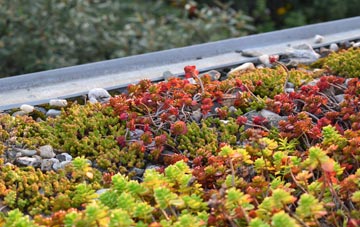 the cost of Leysdown On Sea green roof installation