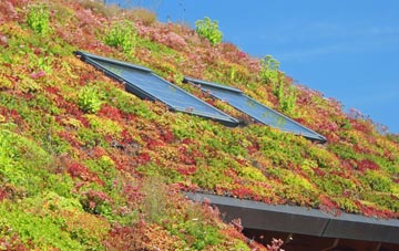 Leysdown On Sea living roof systems