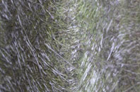 Leysdown On Sea fibreglass roof work